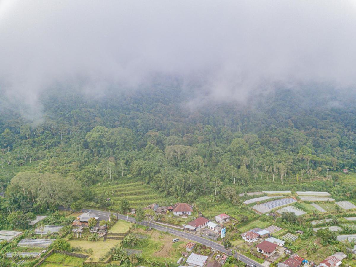 Villa Four Monkeys House à Bedugul  Extérieur photo