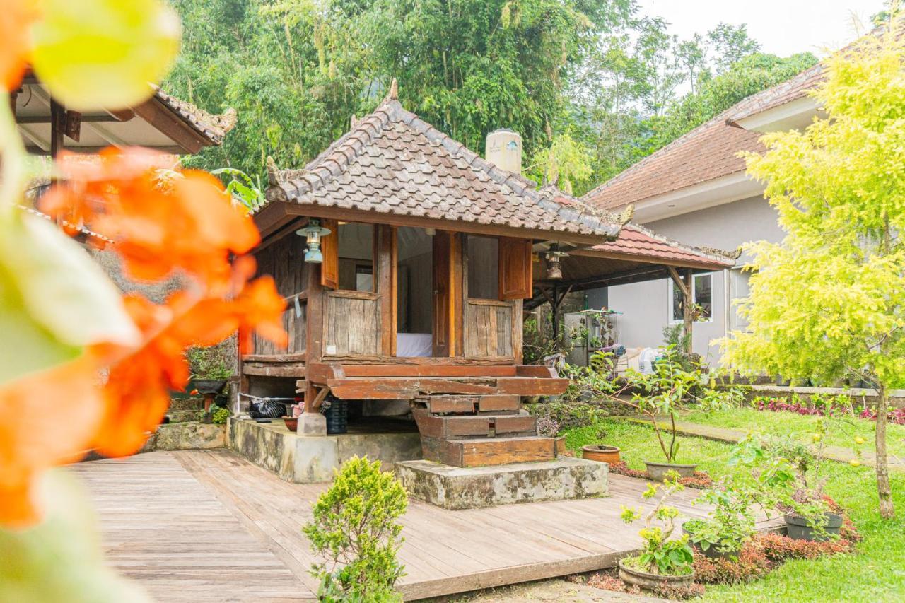Villa Four Monkeys House à Bedugul  Extérieur photo