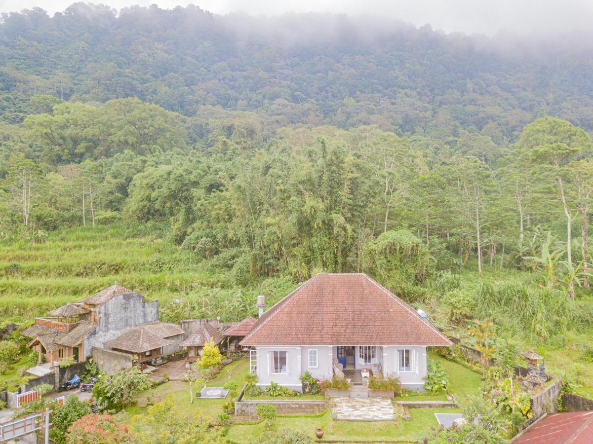 Villa Four Monkeys House à Bedugul  Extérieur photo